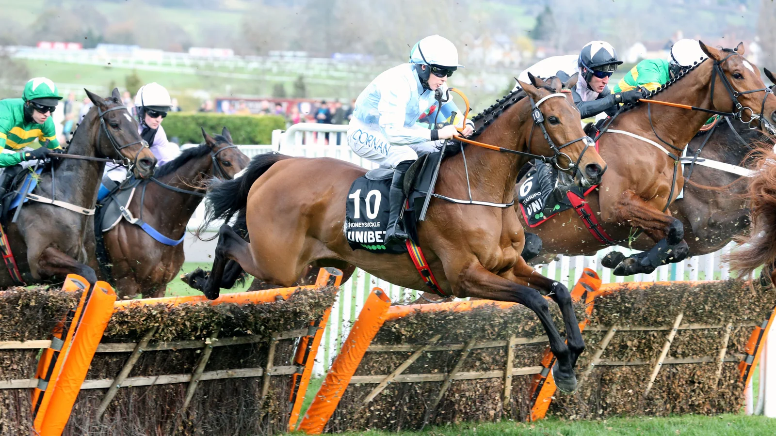 Hurdlers take on the new course at the iconic Cheltenham 